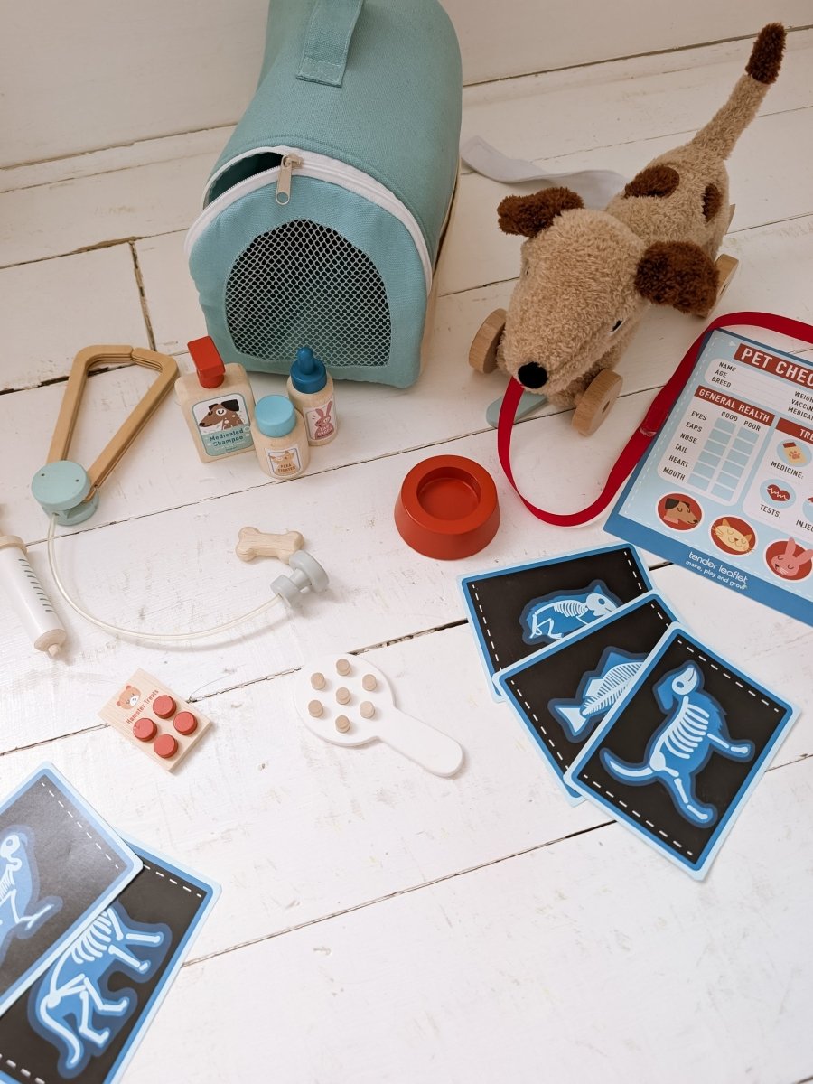 Animal Rescue Vet Set – role play for children, available at Learning Bugs UK
