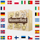 WunderBox 4 to 7 Years Old – Developmental Box – Educational Toy Set for children, available at Learning Bugs UK