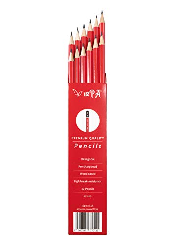 12 HB Hexagonal Pencils for Kids