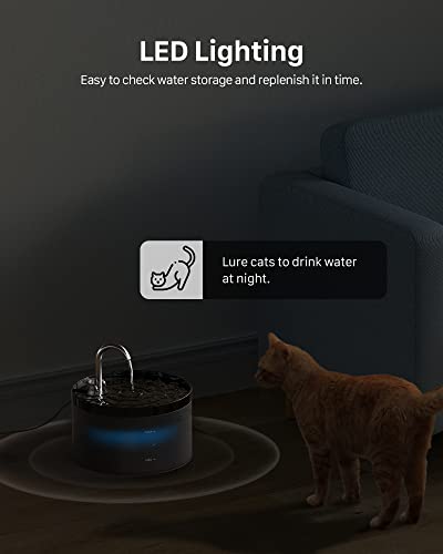 Cat Water Fountain for Drinking: Cat Fountain - 2L Cat Water Fountain - Water Fountain Cat Bowl