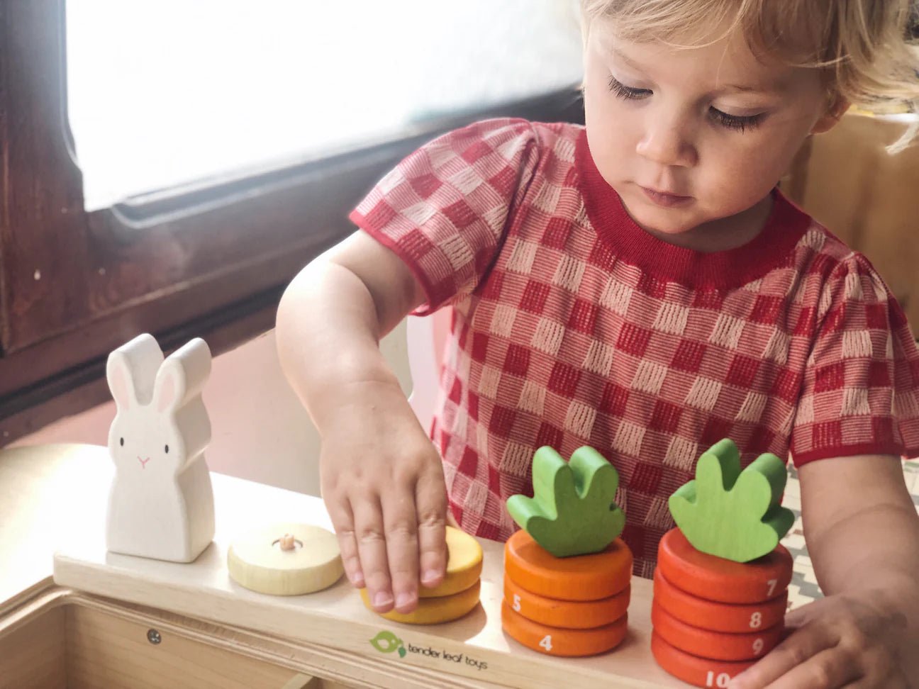 Tender Leaf Counting Carrots by Tenderleaf Toys - Learning Bugs UK