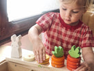 Tender Leaf Counting Carrots by Tenderleaf Toys - Learning Bugs UK