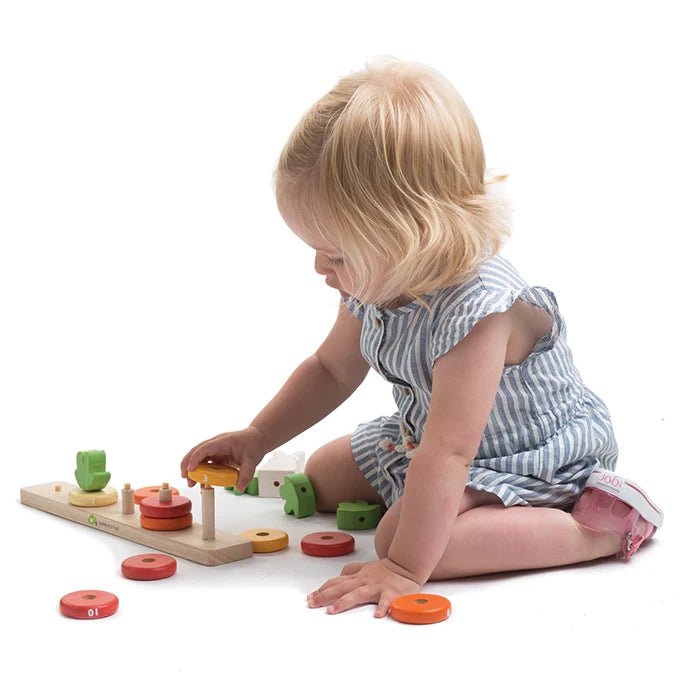 Tender Leaf Counting Carrots by Tenderleaf Toys - Learning Bugs UK