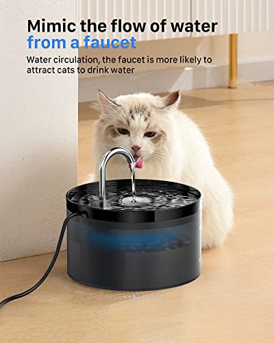 Cat Water Fountain for Drinking: Cat Fountain - 2L Cat Water Fountain - Water Fountain Cat Bowl