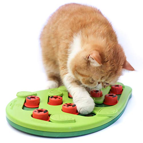 Nina Ottosson by Catstages Buggin' Out Puzzle & Play - Interactive Cat Treat Puzzle