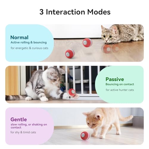 Cheerble Ball Cat Interactive, Cat Toy Bouncing Cat Ball with 3 Modes, Smart Cat Ball Toy with LED Light for Cats