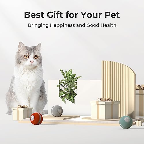 Cheerble Ball Cat Interactive, Cat Toy Bouncing Cat Ball with 3 Modes, Smart Cat Ball Toy with LED Light for Cats