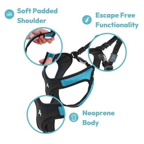 Gooby Escape Free Easy Fit Harness - Hot Pink, X-Small - No Pull Step-in Patented Small Dog Harness with Quick Release Buckle - Perfect On The Go No Pull Harness for Small Dogs or Medium Dog Harness