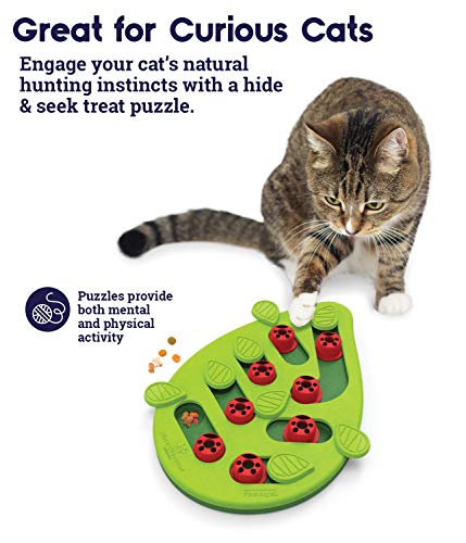 Nina Ottosson by Catstages Buggin' Out Puzzle & Play - Interactive Cat Treat Puzzle