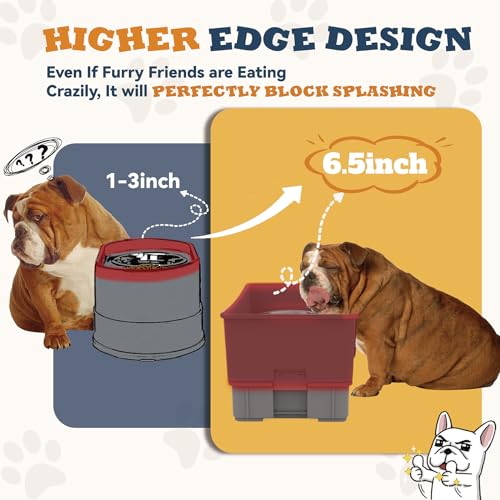 HIKINGO Mess Proof Dog Bowls, No Mess Dog Food and Water Bowl Set, No Spill Edge Pet Feeder with 2 Stainless Steel Bowls