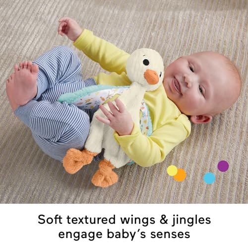 Fisher-Price Baby Sensory Snuggle Up Goose Plush Toy