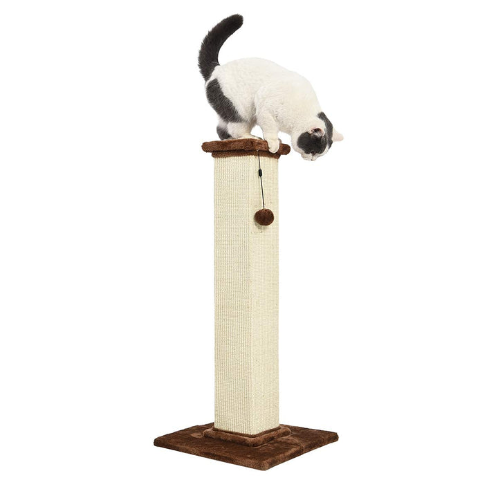 Amazon Basics Large Premium Tall Cat Scratching Post - 15.75’’ L x 15.75’’ W x 35.43’’ H, Brown Carpet