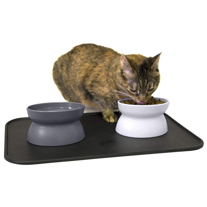 Kitty City Raised Cat Food Bowl Collection/Stress Free Pet Feeder and Waterer and Slow Feed Bowls