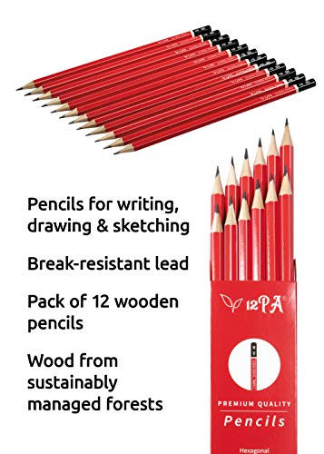 12 HB Hexagonal Pencils for Kids