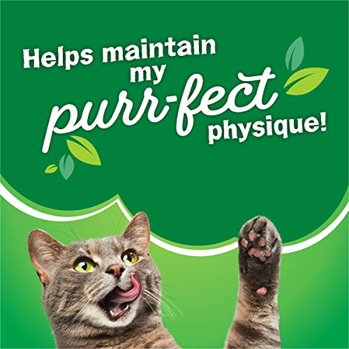 MELARQT Purina Friskies Gravy Swirlers Adult Dry Cat Food