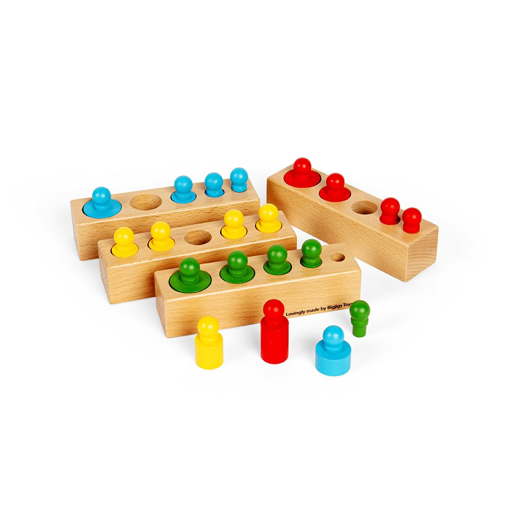 Bigjigs Toys Wooden Peg Blocks - 24 Piece Size & Shape Sorter, Sustainably Made Montessori Toy, Early Learning Resources For Children, 2+ Years