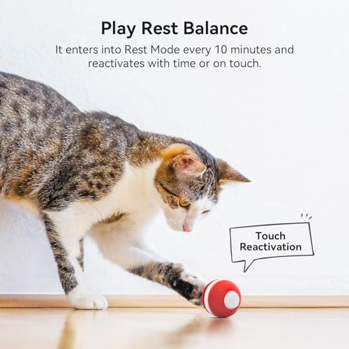 Cheerble Ball Cat Interactive Cat Toy Bouncing Cat Ball with 3 Modes Learningbugs