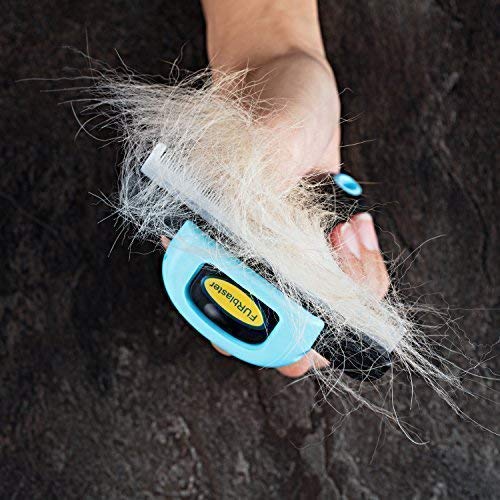 DakPets Pet Deshedding Tool | Professional Cat and Dog Brush for Shedding | Fur Deshedding Brush and Pet Hair Remover for Cats and Dogs