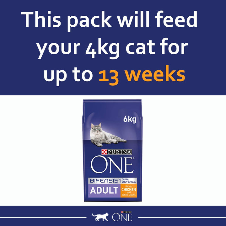 Purina ONE Adult Dry Cat Food Rich in Chicken 6kg, Packaging may vary