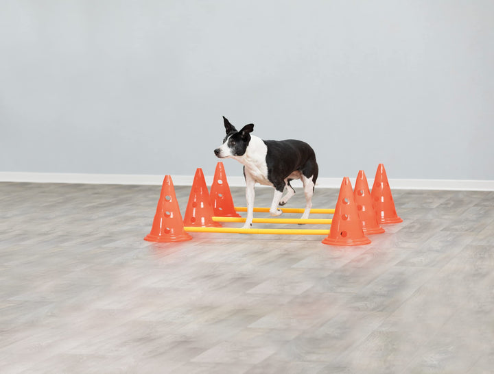 Trixie Dog Agility Obstacles, set 3 pcs.,orange, yellow