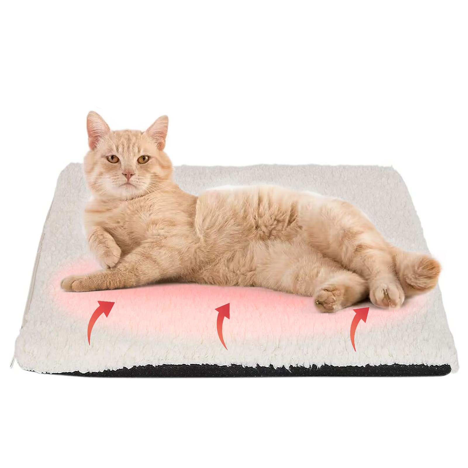 Cat bed with removable cover best sale