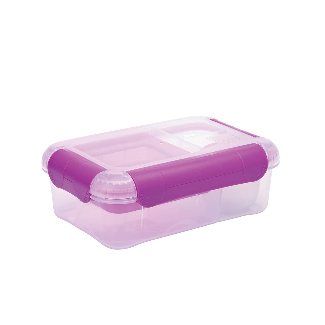 Smash Bento Lunch Box, Grape, 1.6 Liter Capacity