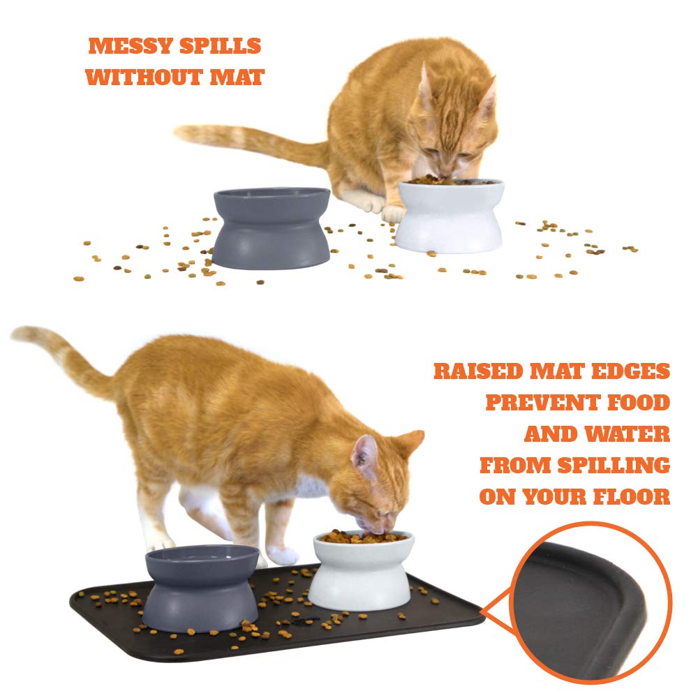 Kitty City Raised Cat Food Bowl Collection/Stress Free Pet Feeder and Waterer and Slow Feed Bowls