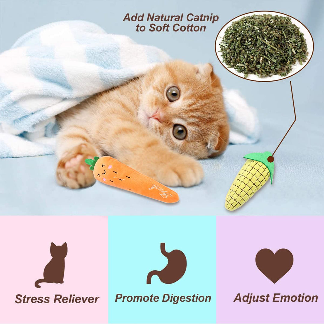 Everpwr Catnip Toys for Cats Chew Toy - 5PCS Cat Toys for Plush Scratch Playing Chewing Teeth Cleaning- Interactive Cat Catnip Toy