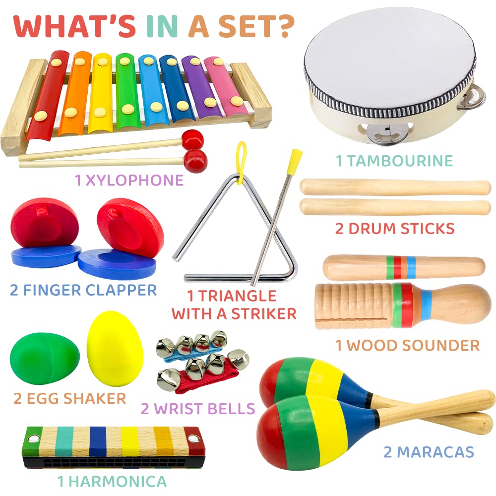 19 pcs Kids Musical Instruments for 3 year old