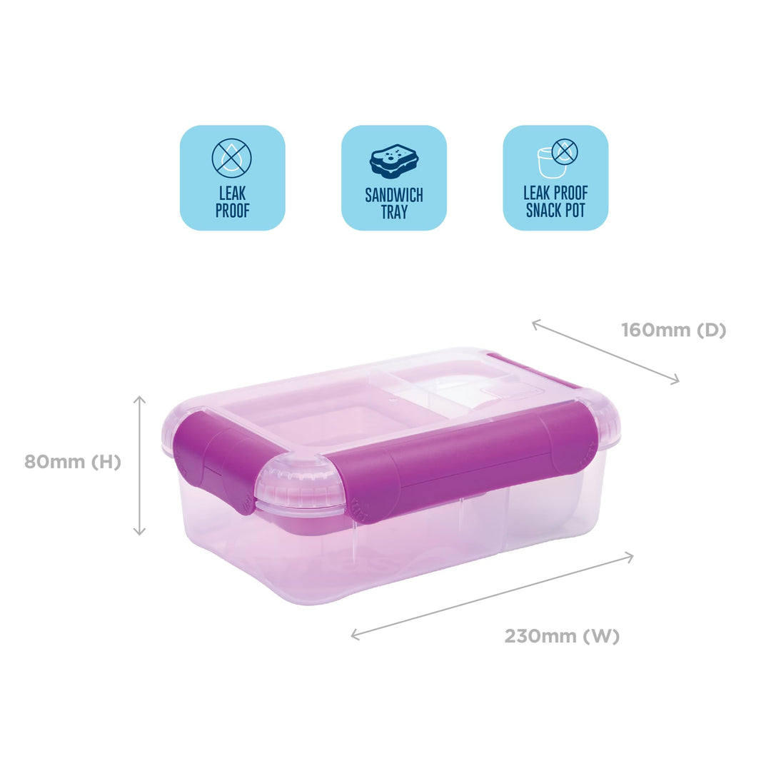 Smash Bento Lunch Box, Grape, 1.6 Liter Capacity