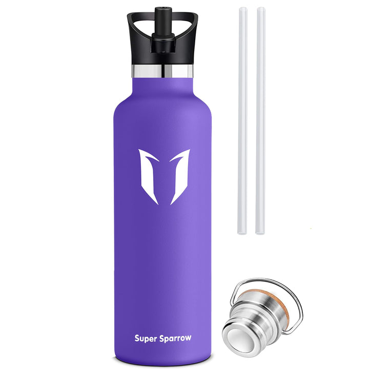 500ml Vacuum Insulated Stainless Steel Water Bottle