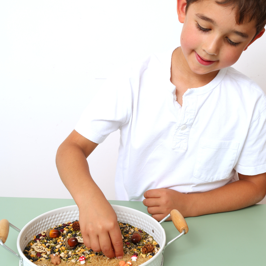 Woodland Sensory Kit – Nature-Inspired Play Adventure