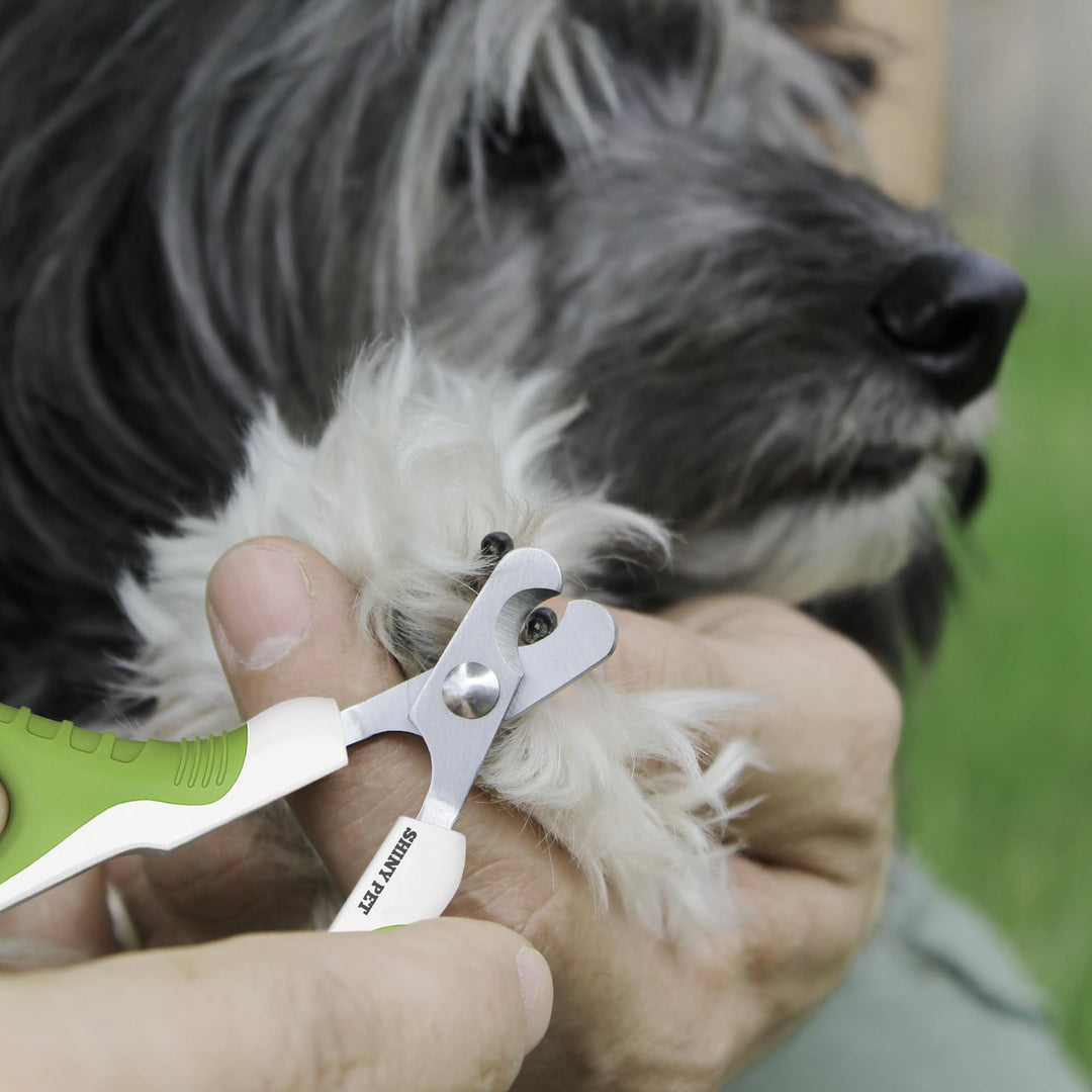 Pet Nail Clippers for Small Animals - Best Cat Nail Clippers & Claw Trimmer for Home Grooming Kit - Professional Grooming Tool for Tiny Dog Cat Bunny Rabbit Bird Puppy Kitten Ferret - Ebook Guide