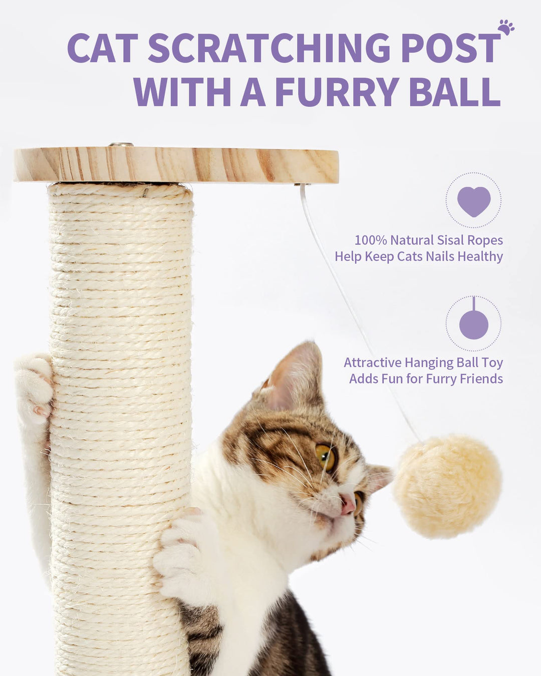 Made4Pets Cat Scratching Post Cat Scratcher Kitten Toys for Indoor Cats Wooden Ball Track Two-Layer Modern Sisal 17.7