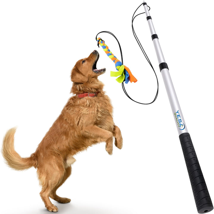 YES4QUALITY Flirt Pole for Dogs - Safe & Strong for Large Breeds w/Non-Bungee Cord - Spring Pole for Tug of War, Interactive Play & Puppy Training - Heavy-Duty Teaser Wand for Outdoor Exercise