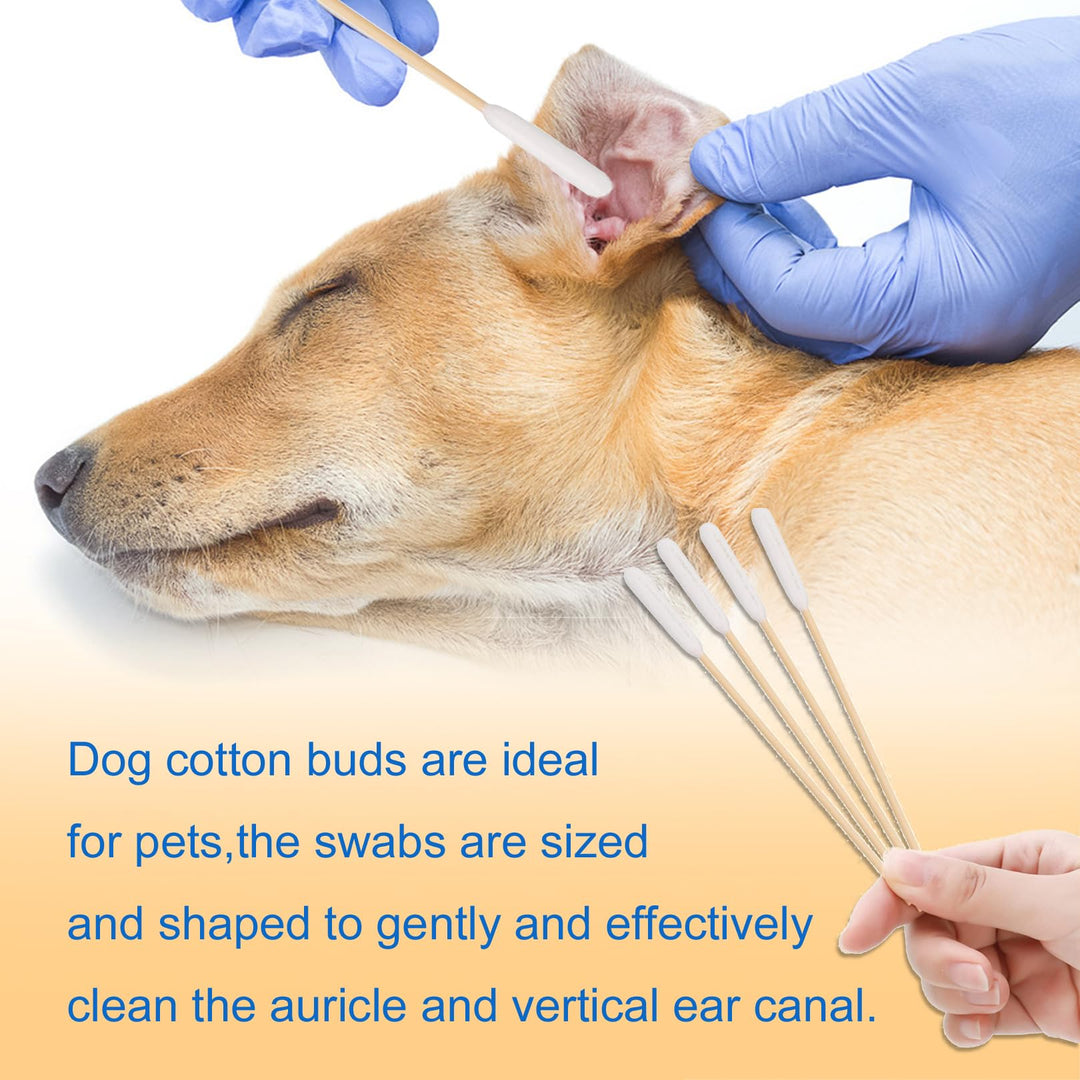 200 Pieces Dogs Ear Cleaning Swabs,Large Cotton Buds Animal Ear Cleaning Cotton Swab Sticks Remover Itchy,Animal Ear Cleaner Big Cotton Swab Sticks Cotton Buds for Cat Dog Ear Wax Infection Removal