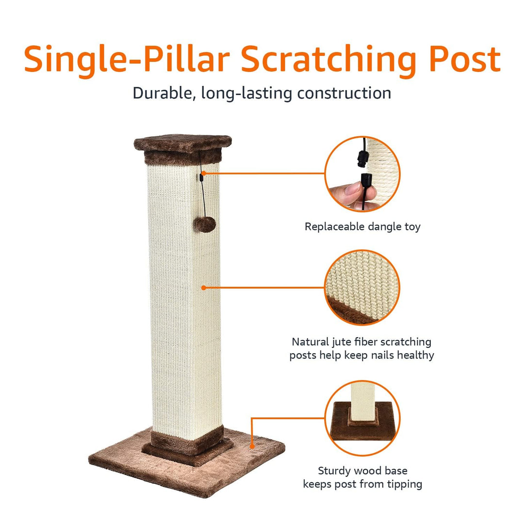 Amazon Basics Large Premium Tall Cat Scratching Post - 15.75’’ L x 15.75’’ W x 35.43’’ H, Brown Carpet