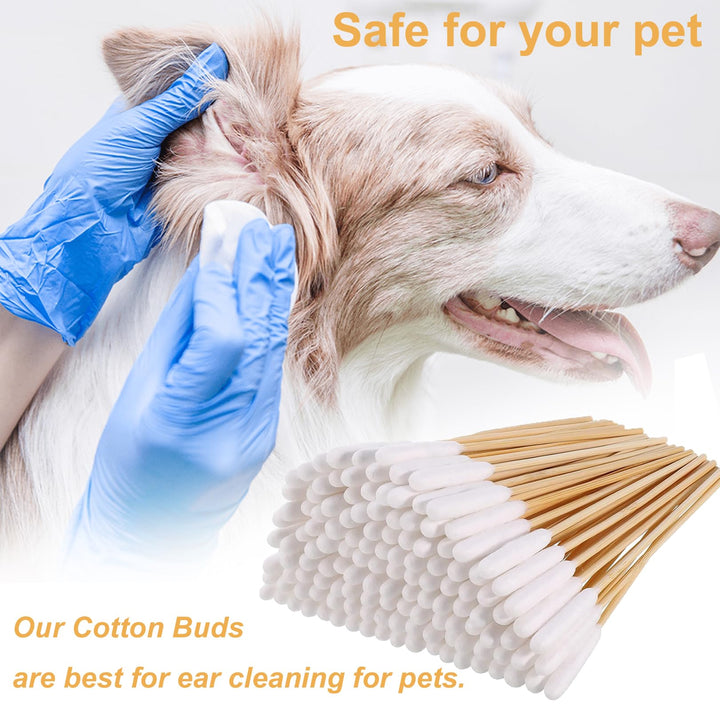 200 Pieces Dogs Ear Cleaning Swabs,Large Cotton Buds Animal Ear Cleaning Cotton Swab Sticks Remover Itchy,Animal Ear Cleaner Big Cotton Swab Sticks Cotton Buds for Cat Dog Ear Wax Infection Removal