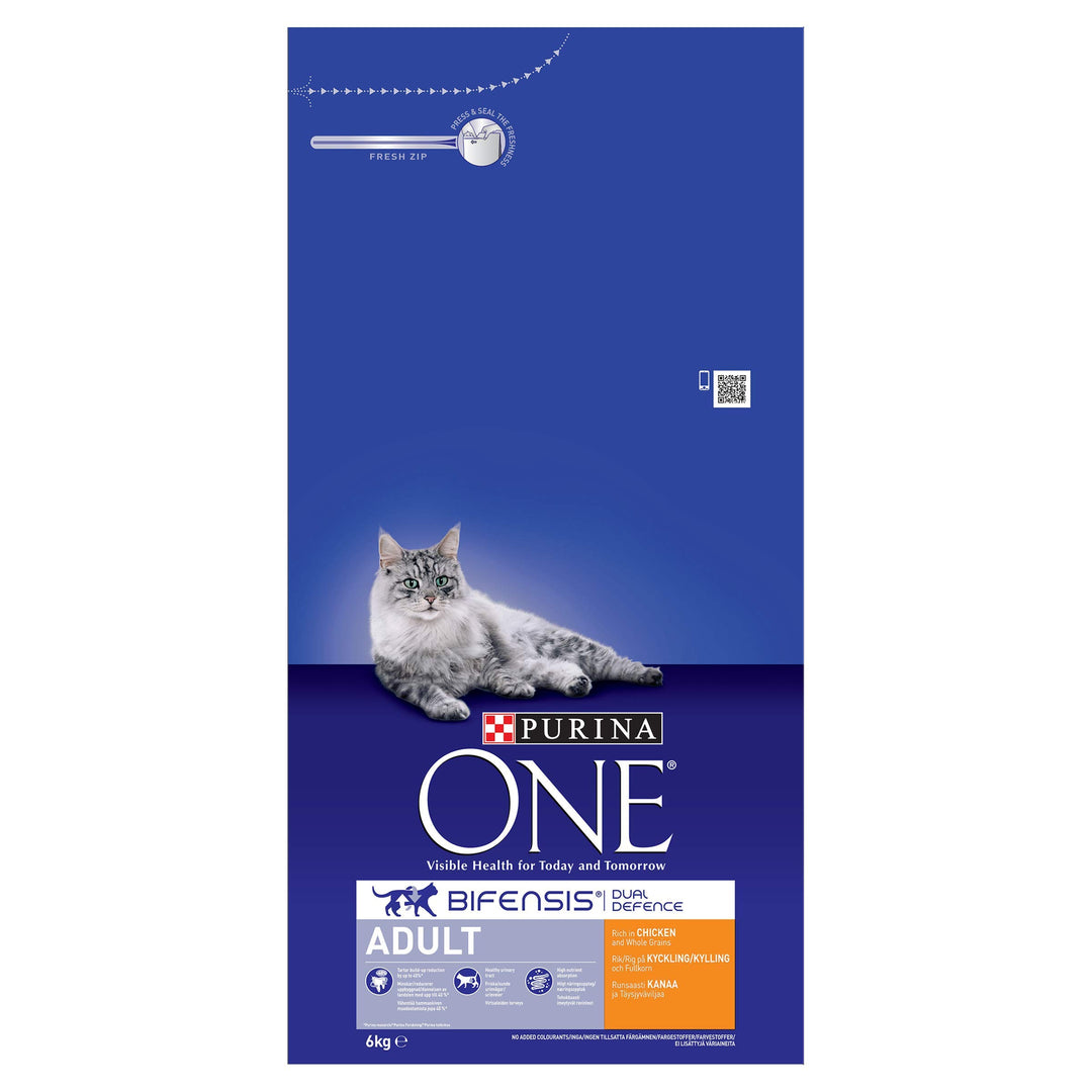 Purina ONE Adult Dry Cat Food Rich in Chicken 6kg, Packaging may vary