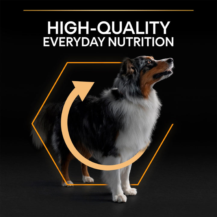 PRO PLAN® Medium Adult Everyday Nutrition Dry Dog Food with Chicken 14kg