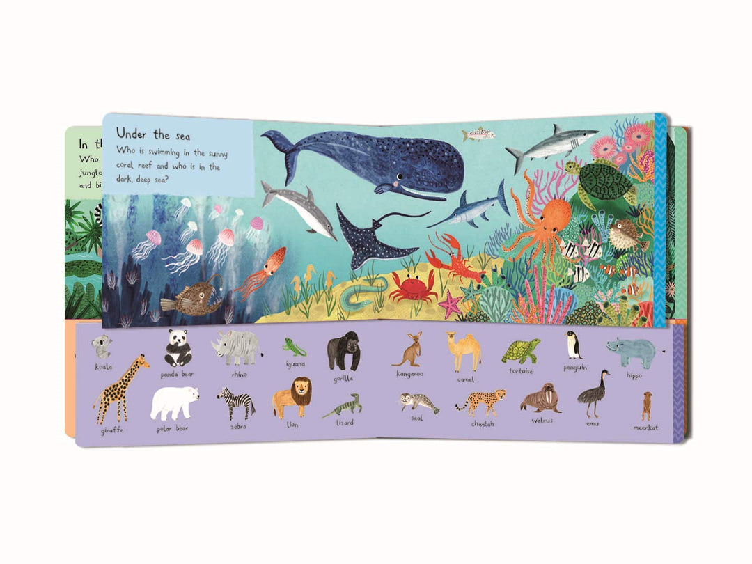 There Are 101 Animals in This Book (There Are 101, 1)