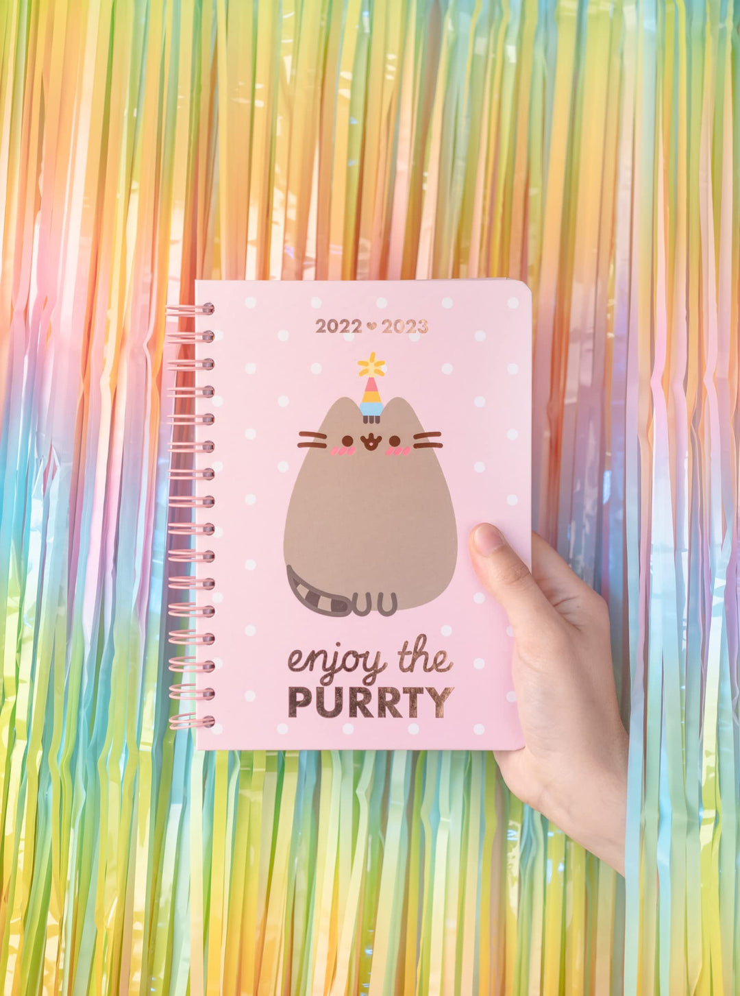 Pusheen 2022-2023 Academic Diary