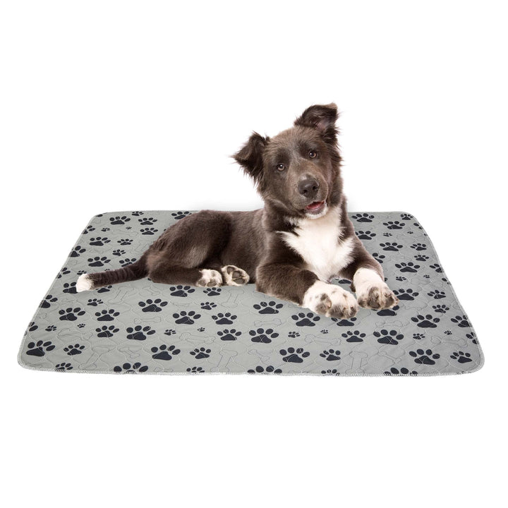 Drylife Washable Puppy Pads | Reusable Super Absorbent Extra Large Dog and Pet Training Mats | Anti-Slip, Quick Absorption, Locks in Pee, Odour Control, Floor Protection - 80x90cm (Grey, 1 Pack)