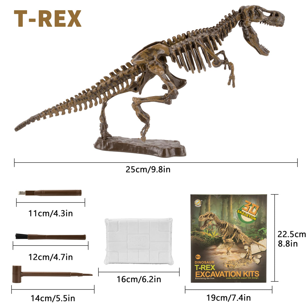 MUSCCCM Dinosaur Dig Kit Tyrannosaurus Rex, Dino Skeleton Fossil Excavation Kit Realistic Dinosaur Model Educational Toys Gift for Children Boys Girls Christmas/New Year's Gift