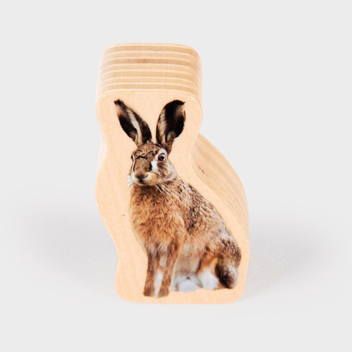 Wooden Forest Animal Blocks – Real Image - Blocks for children, available at Learning Bugs UK