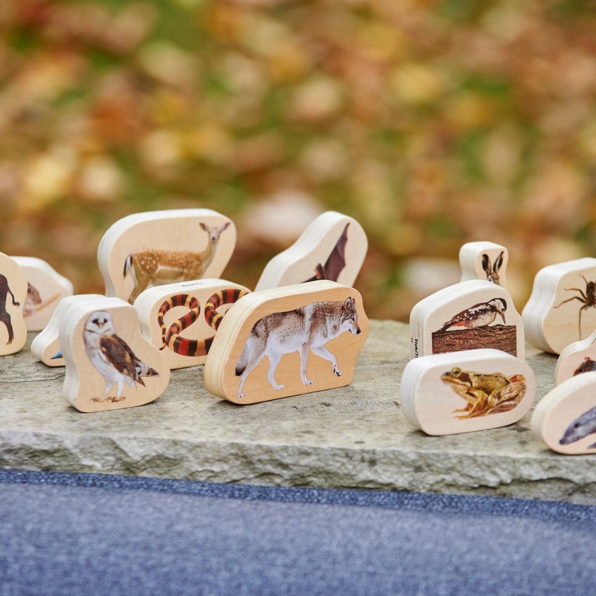 Wooden Forest Animal Blocks – Real Image - Blocks for children, available at Learning Bugs UK