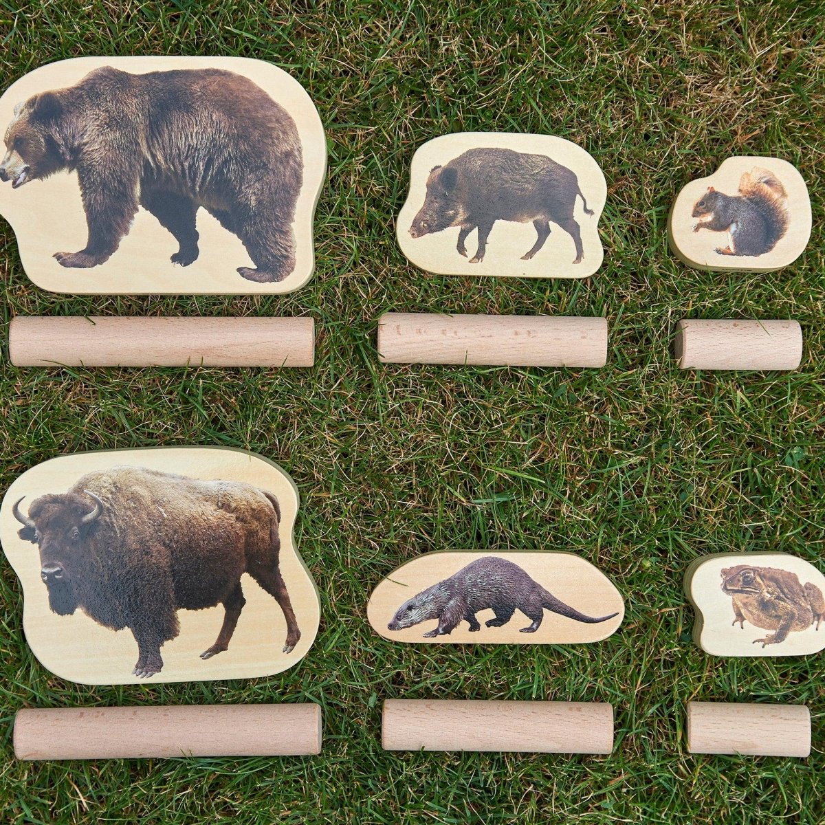 Wooden Forest Animal Blocks – Real Image - Blocks for children, available at Learning Bugs UK