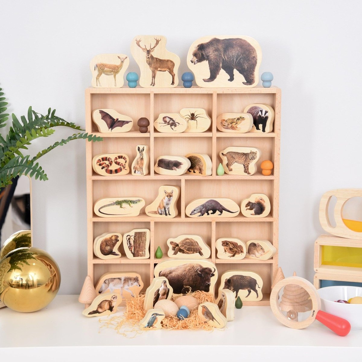 Wooden Forest Animal Blocks – Real Image - Blocks for children, available at Learning Bugs UK