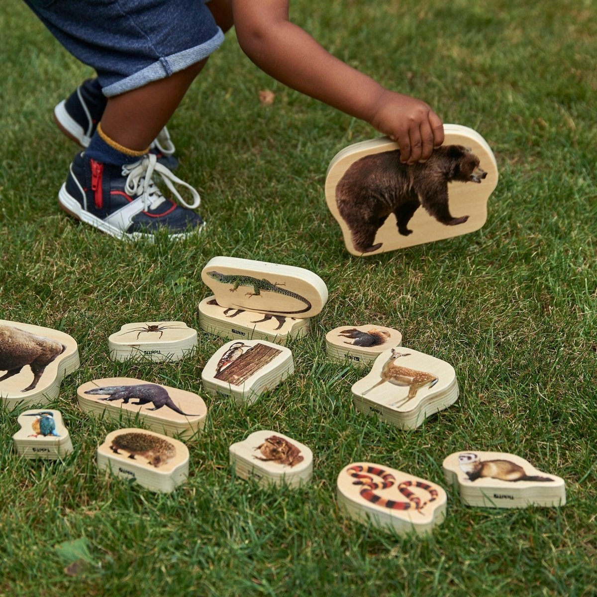 Wooden Forest Animal Blocks – Real Image - Blocks for children, available at Learning Bugs UK