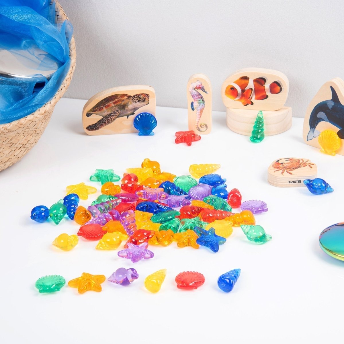 Translucent Colour Shells - Pack of 72 – Baby Toys & Activity Equipment for children, available at Learning Bugs UK